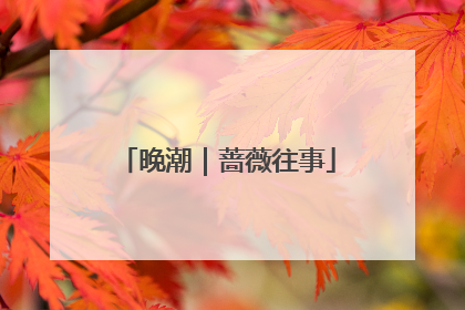 晚潮｜蔷薇往事