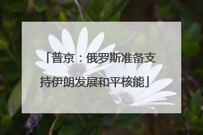 普京：俄罗斯准备支持伊朗发展和平核能