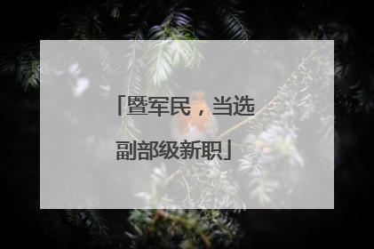暨军民，当选副部级新职