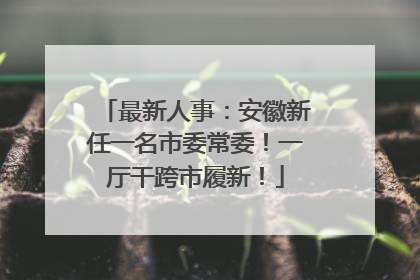 最新人事：安徽新任一名市委常委！一厅干跨市履新！