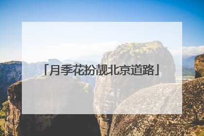 月季花扮靓北京道路