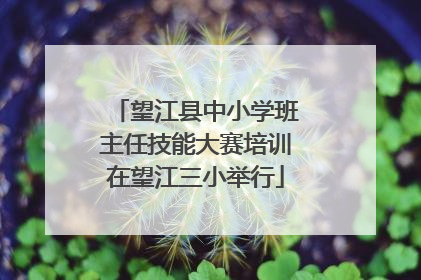 望江县中小学班主任技能大赛培训在望江三小举行