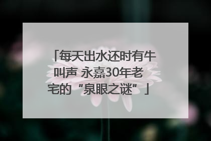 每天出水还时有牛叫声 永嘉30年老宅的“泉眼之谜”