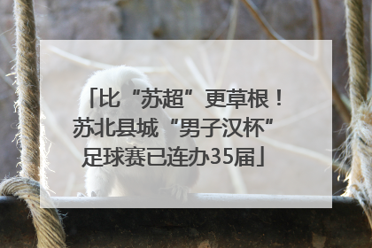 比“苏超”更草根！苏北县城“男子汉杯”足球赛已连办35届