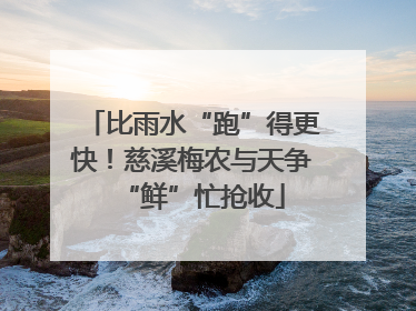 比雨水“跑”得更快！慈溪梅农与天争“鲜”忙抢收