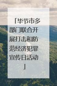 毕节市多部门联合开展打击和防范经济犯罪宣传日活动