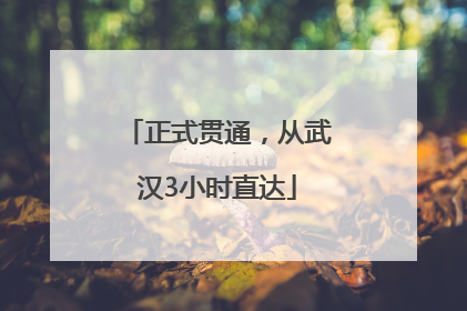 正式贯通，从武汉3小时直达