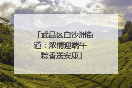 武昌区白沙洲街道：浓情迎端午 粽香送安康