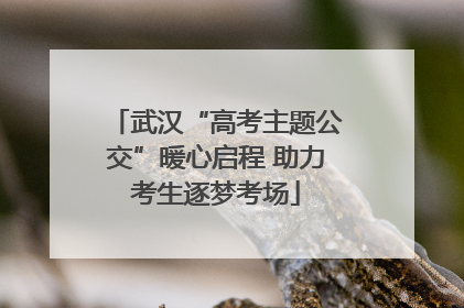 武汉“高考主题公交”暖心启程 助力考生逐梦考场
