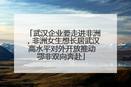 武汉企业要走进非洲，非洲女生想长居武汉 高水平对外开放推动鄂非双向奔赴