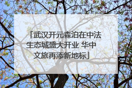 武汉开元森泊在中法生态城盛大开业 华中文旅再添新地标