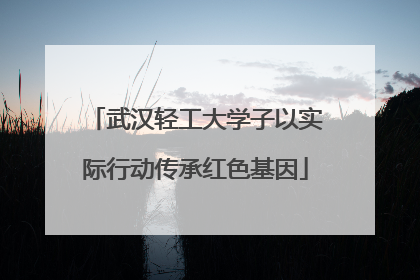 武汉轻工大学子以实际行动传承红色基因