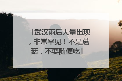 武汉雨后大量出现，非常罕见！不是蘑菇，不要随便吃