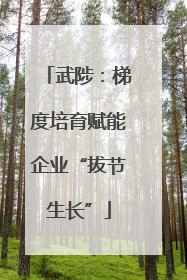 武陟：梯度培育赋能企业“拔节生长”