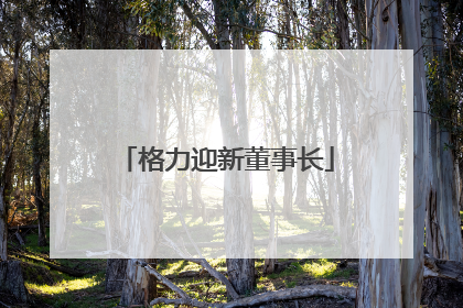 格力迎新董事长