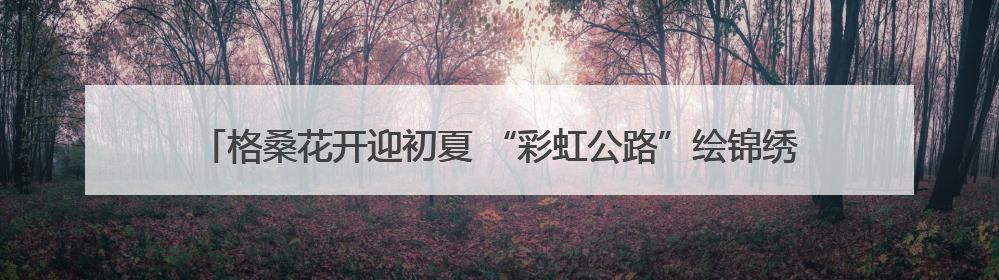 格桑花开迎初夏 “彩虹公路”绘锦绣 德兴以生态之笔绘就宜居幸福图景