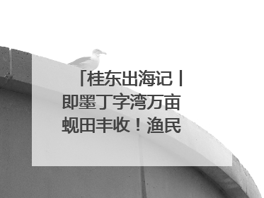 桂东出海记丨即墨丁字湾万亩蚬田丰收！渔民泥里挖蚬，一天上岸过千斤