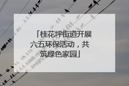 桂花坪街道开展六五环保活动，共筑绿色家园