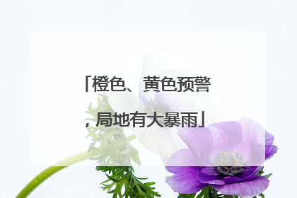 橙色、黄色预警，局地有大暴雨