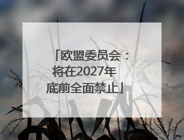 欧盟委员会：将在2027年底前全面禁止