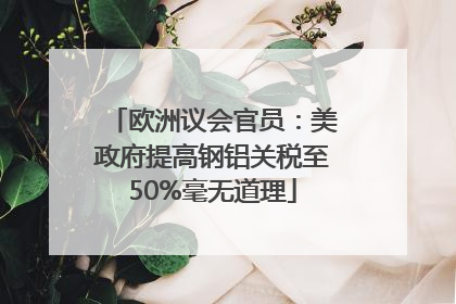 欧洲议会官员：美政府提高钢铝关税至50%毫无道理