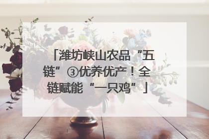 潍坊峡山农品“五链”③优养优产！全链赋能“一只鸡”