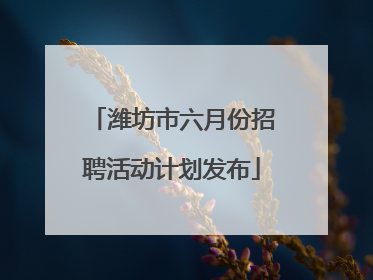 潍坊市六月份招聘活动计划发布