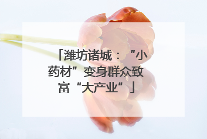 潍坊诸城：“小药材”变身群众致富“大产业”