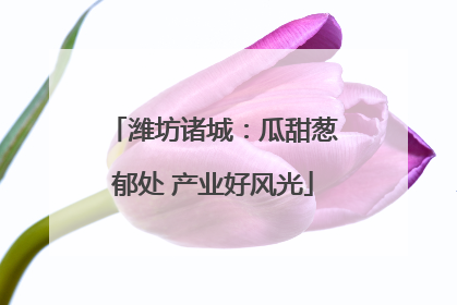 潍坊诸城：瓜甜葱郁处 产业好风光