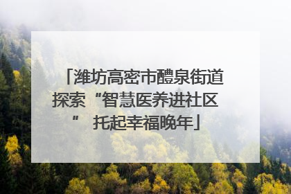 潍坊高密市醴泉街道探索“智慧医养进社区” 托起幸福晚年