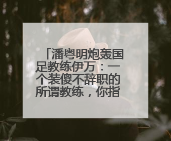 潘粤明炮轰国足教练伊万：一个装傻不辞职的所谓教练，你指望它拯救中国足球！此前曾多次发文评价国足