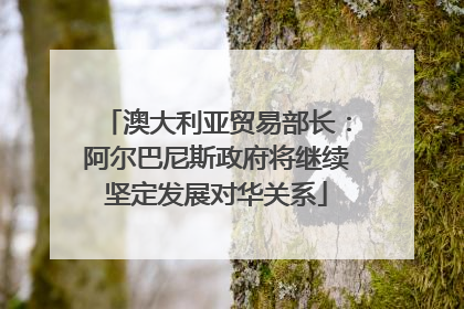 澳大利亚贸易部长：阿尔巴尼斯政府将继续坚定发展对华关系