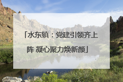 水东镇：党建引领齐上阵 凝心聚力焕新颜