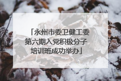 永州市委卫健工委第六期入党积极分子培训班成功举办