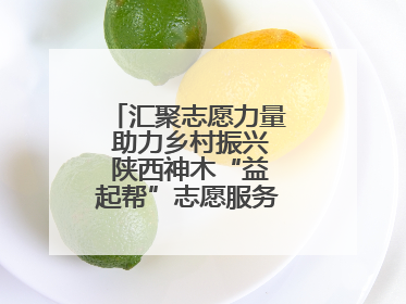 汇聚志愿力量 助力乡村振兴 陕西神木“益起帮”志愿服务项目成效显著