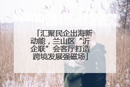 汇聚民企出海新动能，兰山区“沂企联”会客厅打造跨境发展强磁场