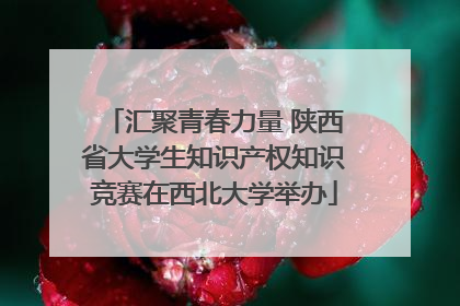 汇聚青春力量 陕西省大学生知识产权知识竞赛在西北大学举办
