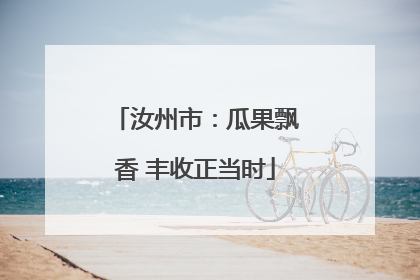 汝州市：瓜果飘香 丰收正当时