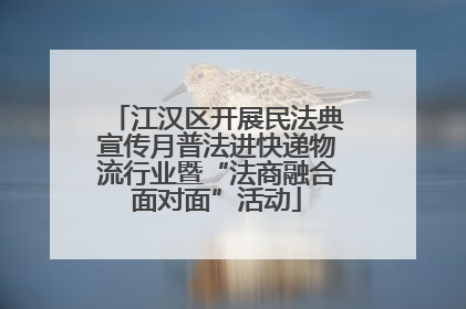 江汉区开展民法典宣传月普法进快递物流行业暨“法商融合面对面”活动