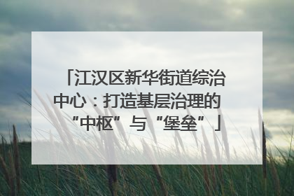江汉区新华街道综治中心：打造基层治理的“中枢”与“堡垒”