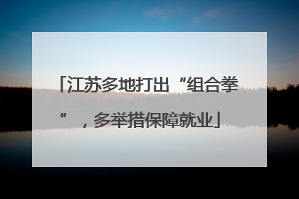 江苏多地打出“组合拳”，多举措保障就业