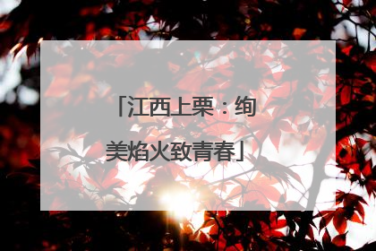 江西上栗：绚美焰火致青春