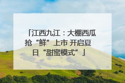 江西九江：大棚西瓜抢“鲜”上市 开启夏日“甜蜜模式”