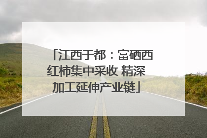 江西于都：富硒西红柿集中采收 精深加工延伸产业链