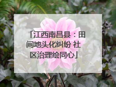 江西南昌县：田间地头化纠纷 社区治理绘同心