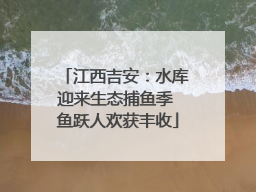 江西吉安：水库迎来生态捕鱼季 鱼跃人欢获丰收