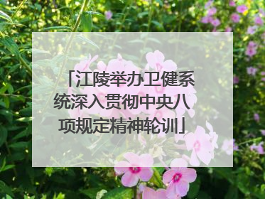 江陵举办卫健系统深入贯彻中央八项规定精神轮训