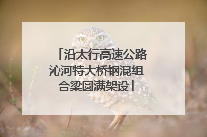 沿太行高速公路沁河特大桥钢混组合梁圆满架设