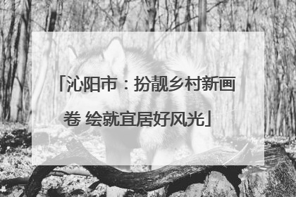沁阳市：扮靓乡村新画卷 绘就宜居好风光
