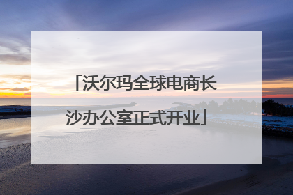 沃尔玛全球电商长沙办公室正式开业
